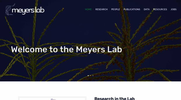 meyerslab.org