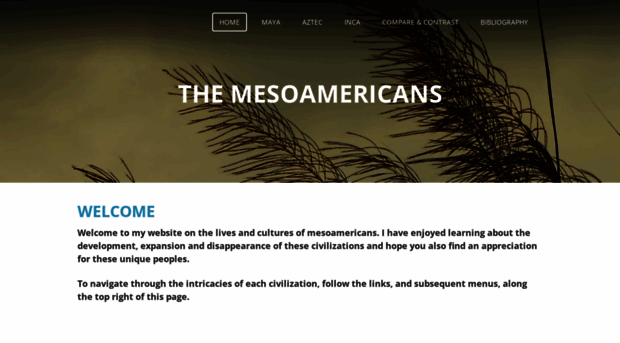 mezoamericatribes.weebly.com