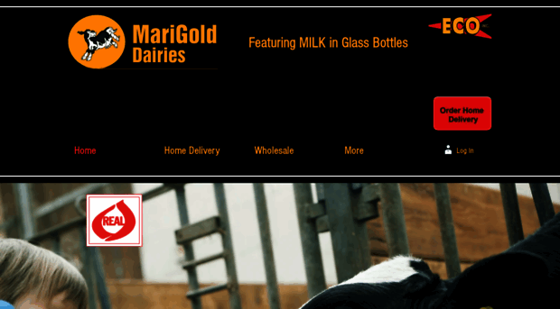 mgdairies.com