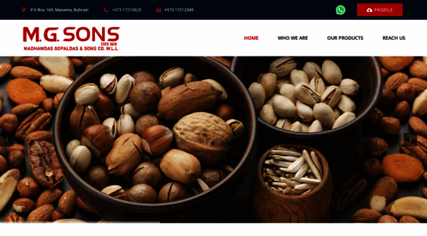 mgsonsbh.com