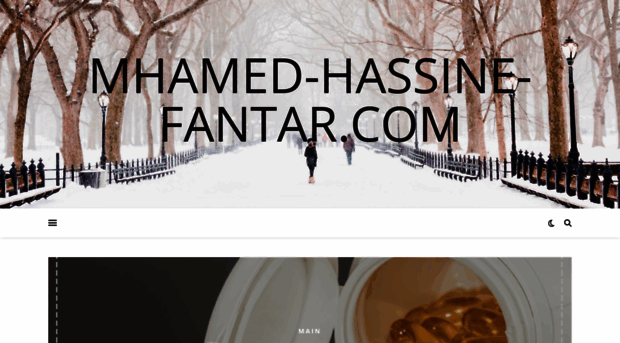 mhamed-hassine-fantar.com