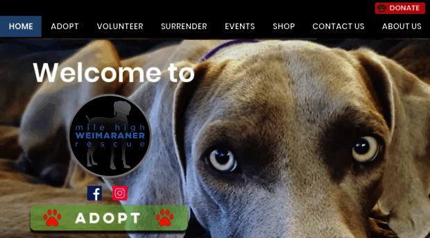 mhwr.org