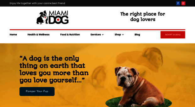 miami.dog