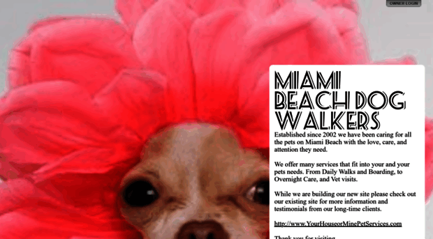 miamibeachdogwalkers.com