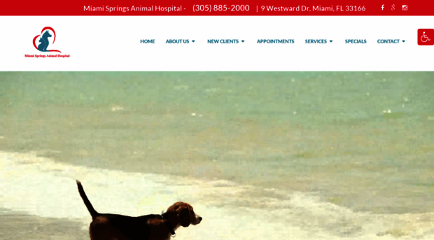 miamispringsanimalhospital.com