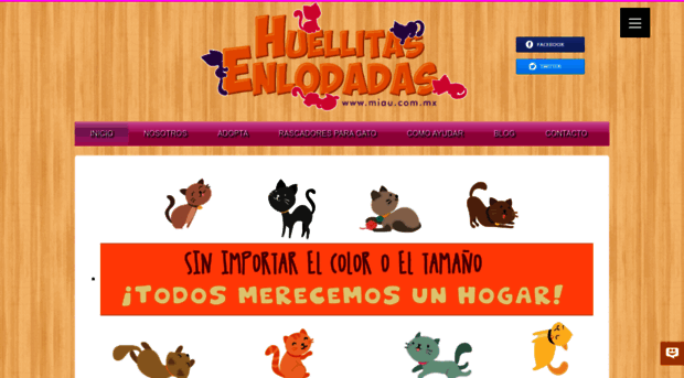 miau.com.mx