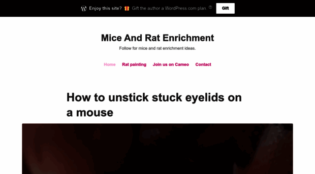 miceandratenrichment.com