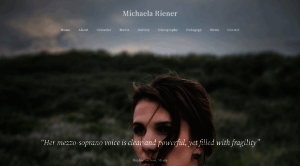 michaelariener.com