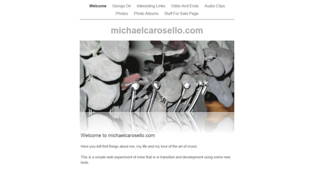 michaelcarosello.com