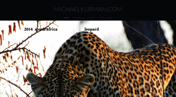 michaelkurman.com