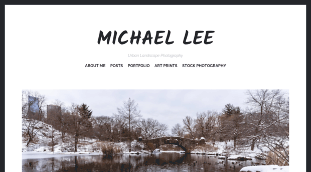 michaelleepicsnyc.com