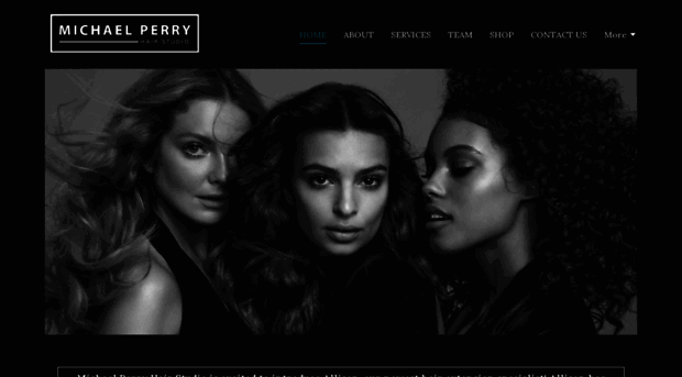 michaelperryhairstudio.com