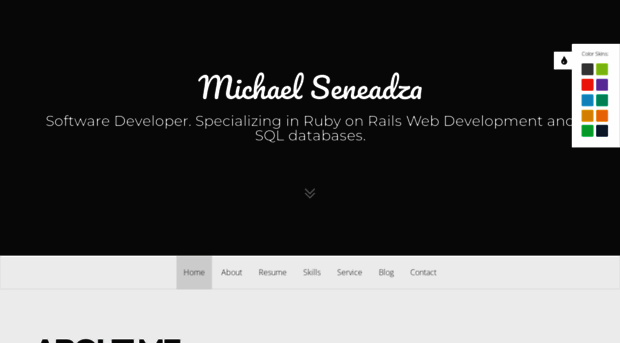 michaelseneadza.com