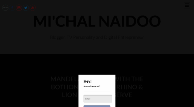 michalnaidoo.com