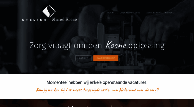 michelkoene.nl