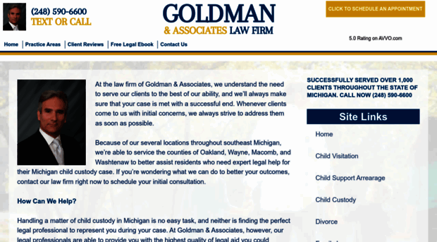 michigan-child-custody.com