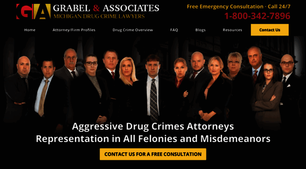 michigan-drug-attorney.com