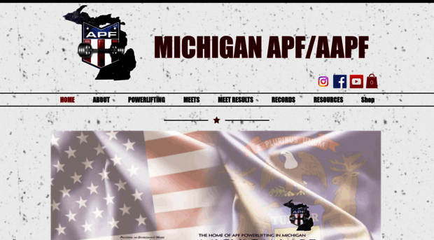 michiganapf.com