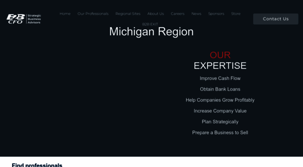 michiganb2bcfo.com