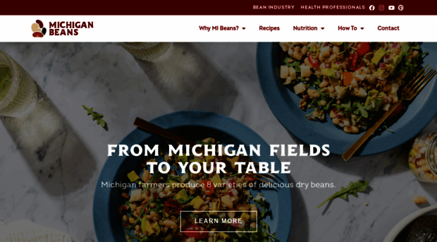 michiganbean.com