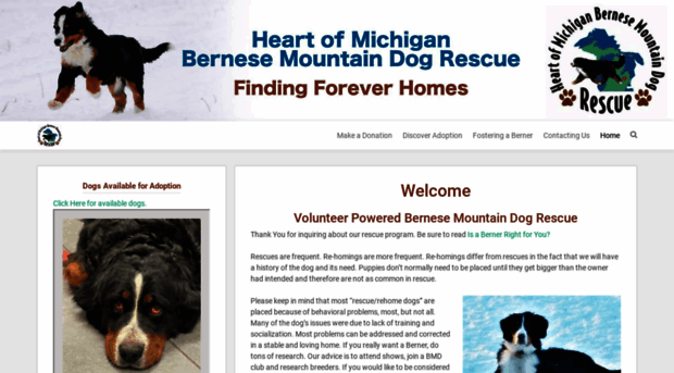 michiganberneserescue.org