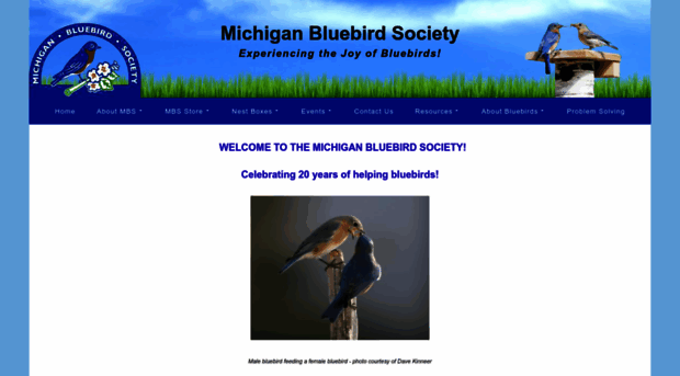 michiganbluebirds.org