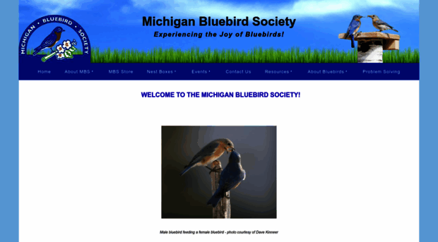 michiganbluebirdsociety.org