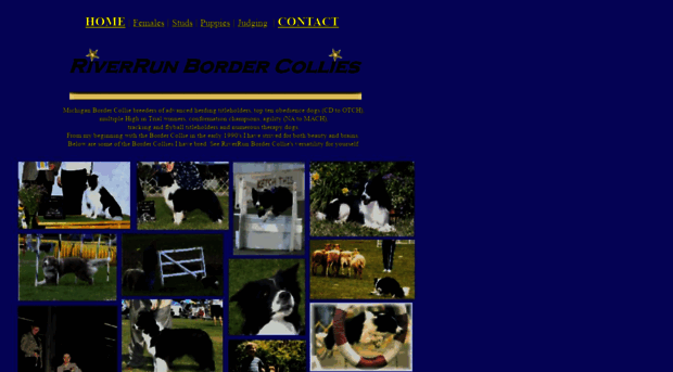 michiganbordercollies.com