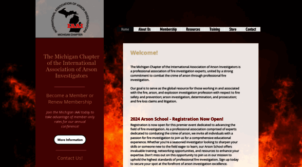 michiganiaai.org