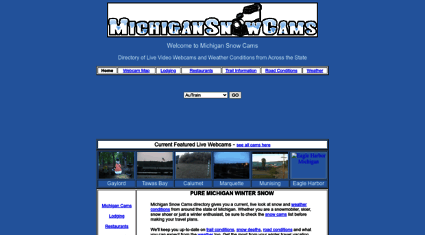 michigansnowcams.com