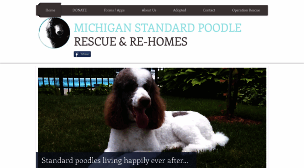 michiganstandardpoodlerescue.com
