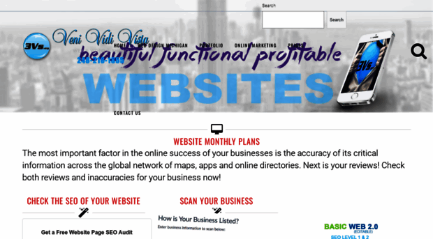 michiganwebsitedesignllc.com