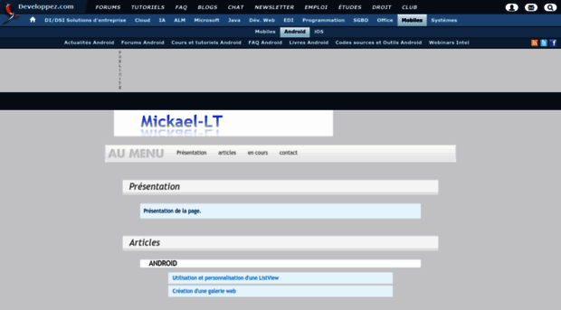 mickael-lt.developpez.com