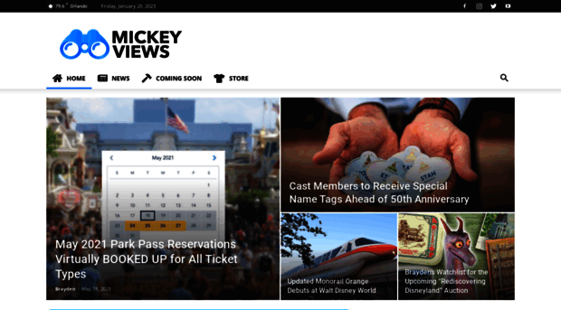 mickeyviews.com