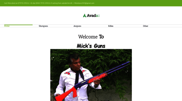 micksguns.com