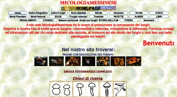 micologiamessinese.altervista.org