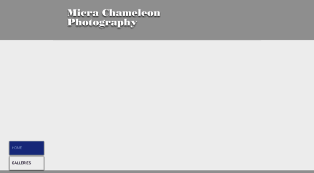 micrachameleon.com