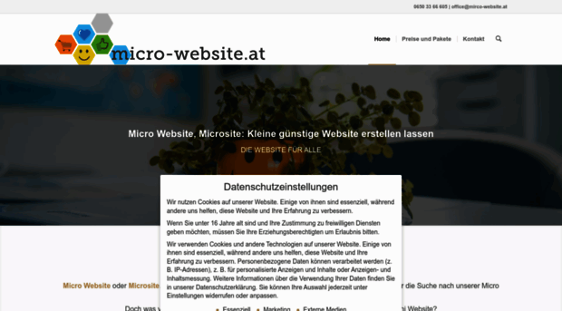 micro-website.de