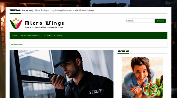 micro-wings.com