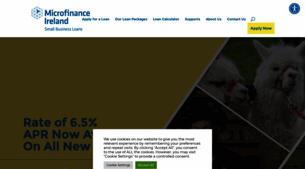 microfinanceireland.ie