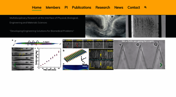 microflowics.com