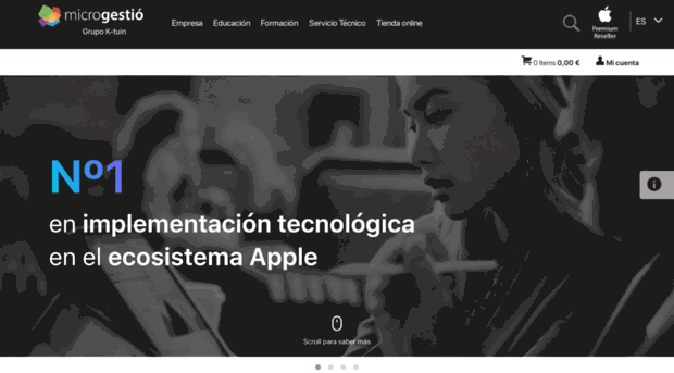 microgestio.com