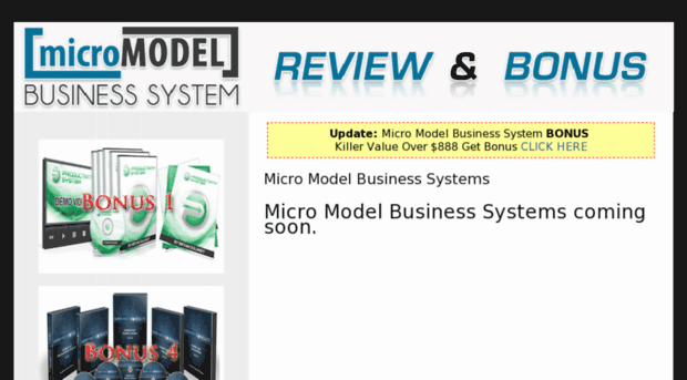 micromodelbusinesssystems.com
