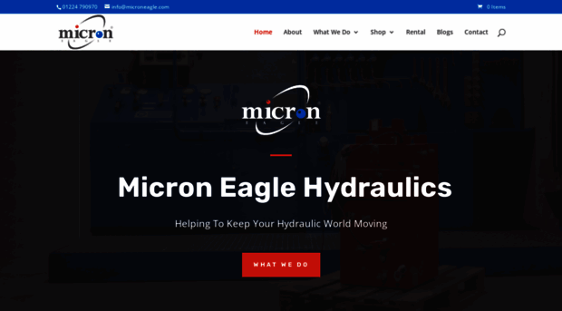 microneagle.com