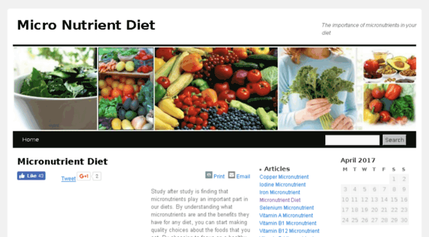 micronutrientdiet.com