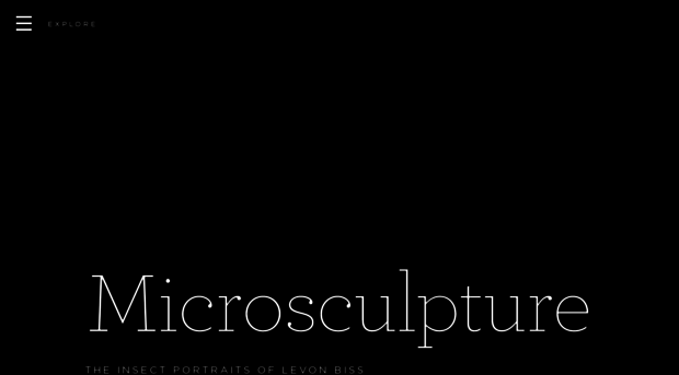 microsculpture.net