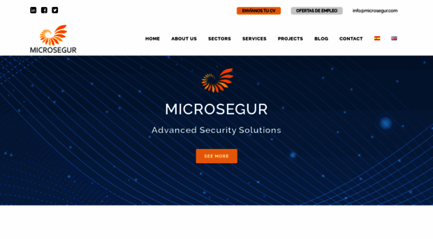 microsegur.com