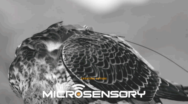 microsensory.com