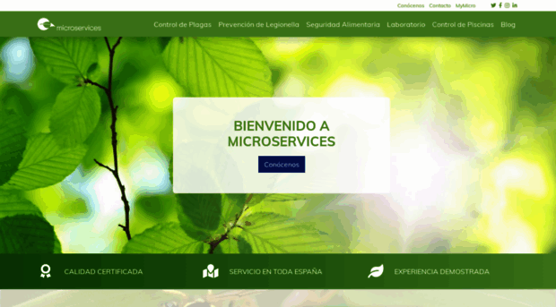 microservices.es