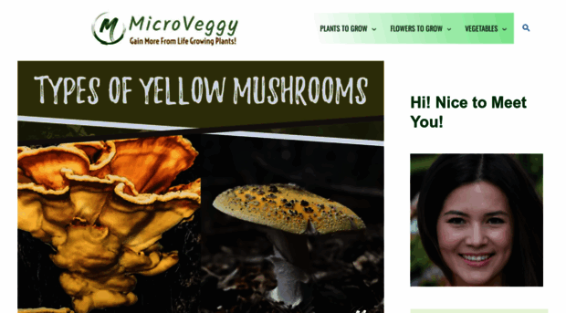 microveggy.com